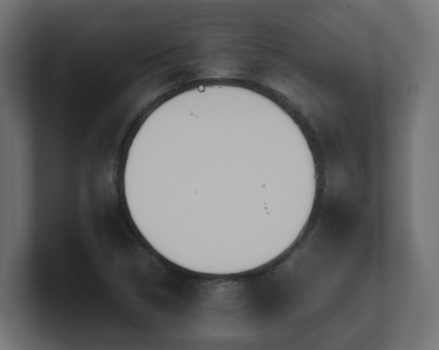 X0000100931314200806241357