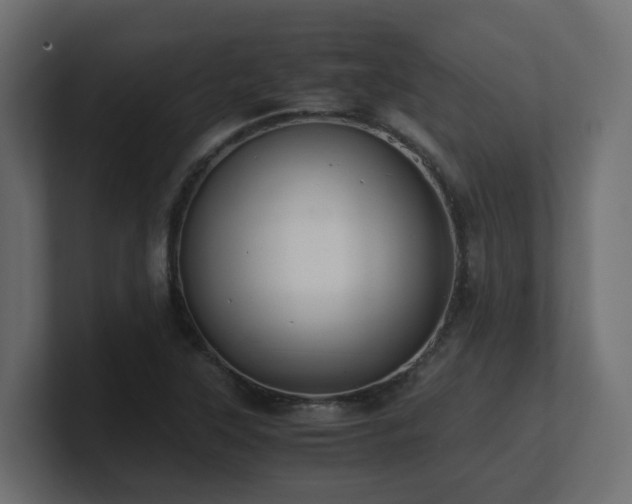 X0000100931315200806241357