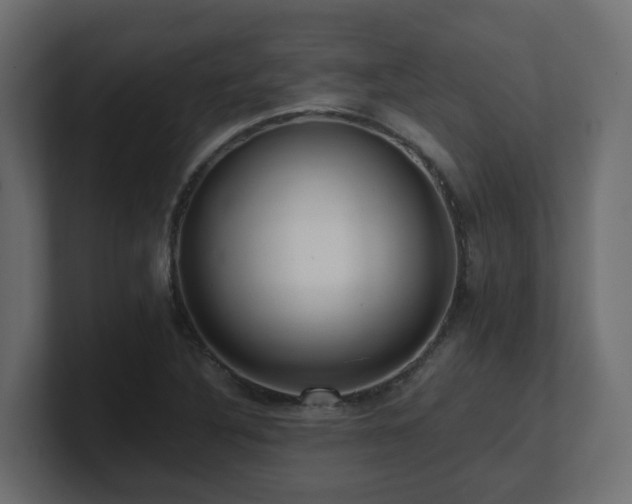 X0000100931316200806241357