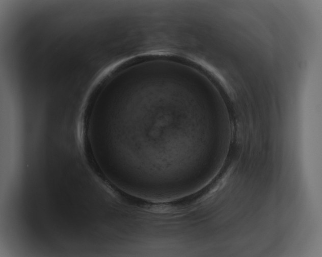 X0000100931319200806241357