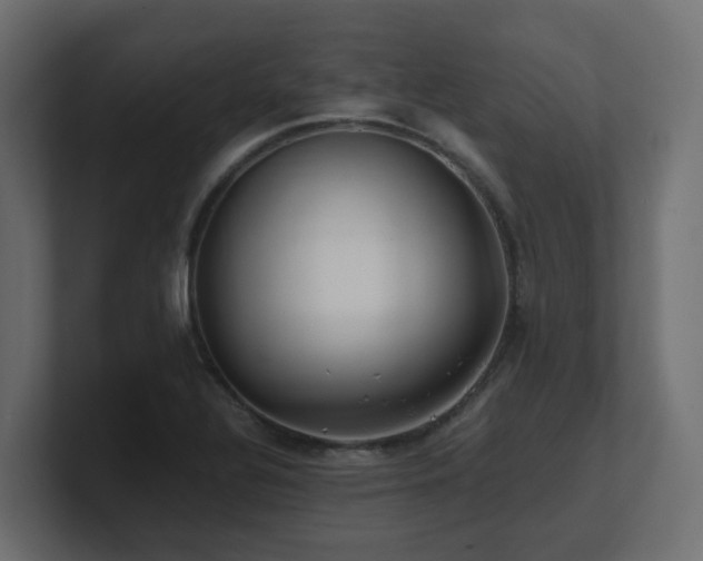 X0000100931320200806241357