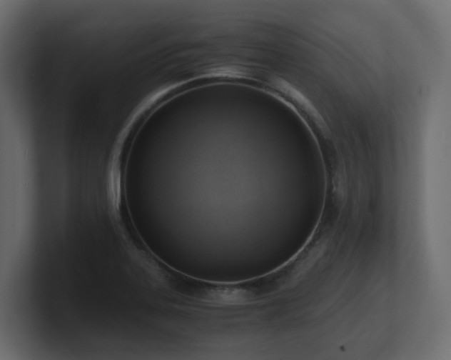 X0000100931323200806241357