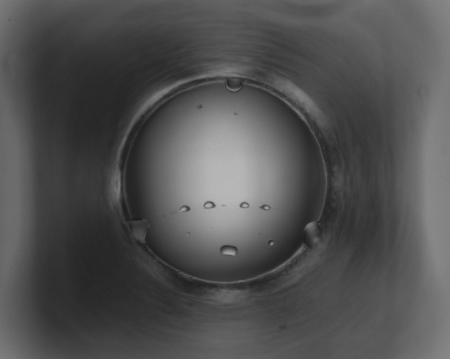 X0000100931324200806241357