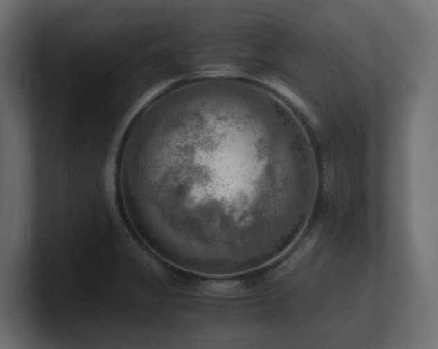 X0000100931325200806241357