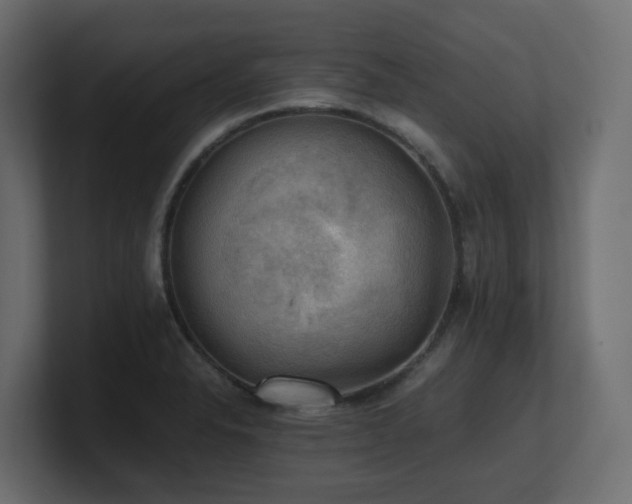 X0000100931326200806241357