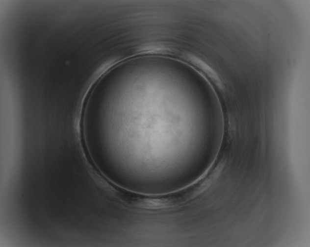 X0000100931330200806241357