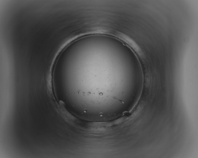 X0000100931332200806241357