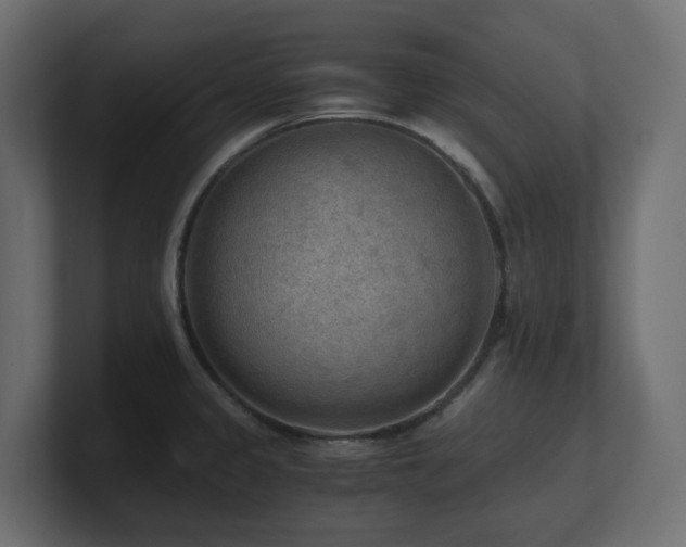 X0000100931333200806241357