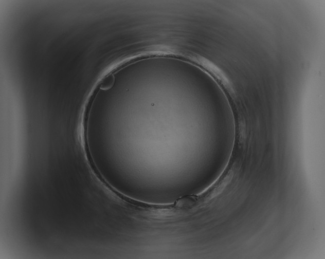 X0000100931334200806241357