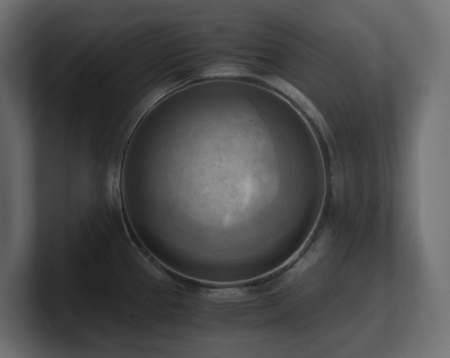 X0000100931337200806241357