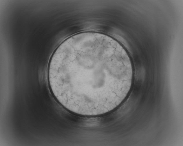 X0000100931338200806241357