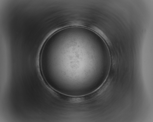 X0000100931339200806241357