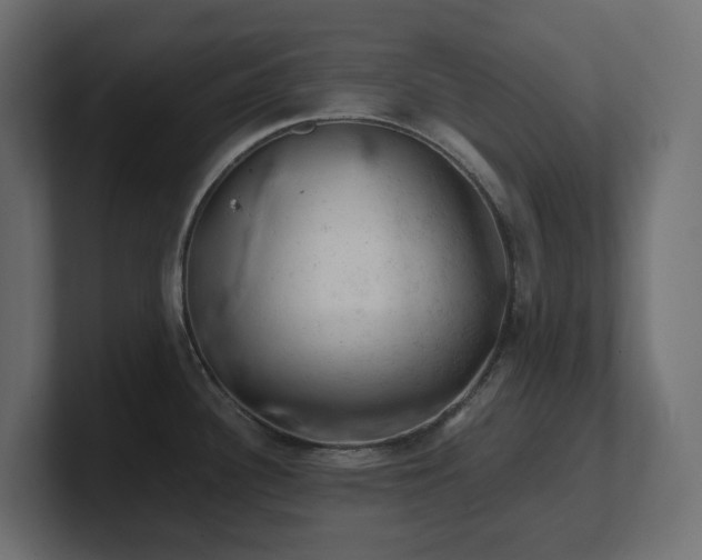 X0000100931340200806241357