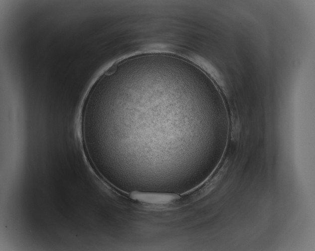 X0000100931342200806241357