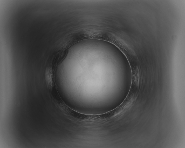 X0000100931346200806241356