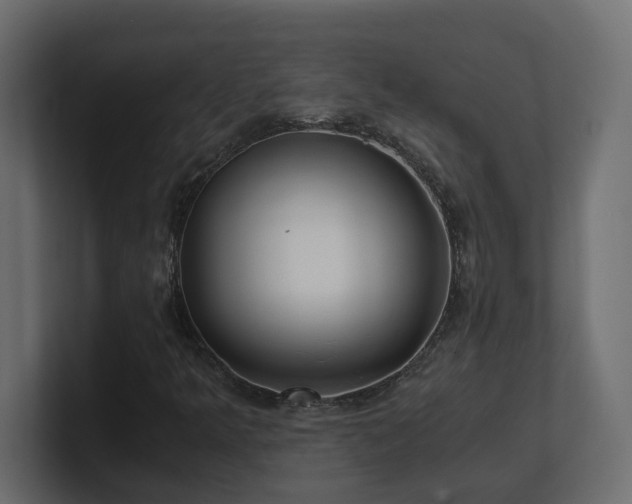 X0000100931349200806241356