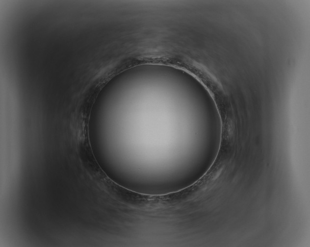 X0000100931350200806241356