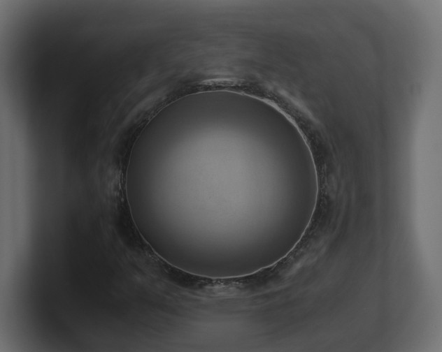 X0000100931351200806241356