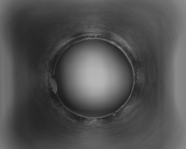 X0000100931352200806241356