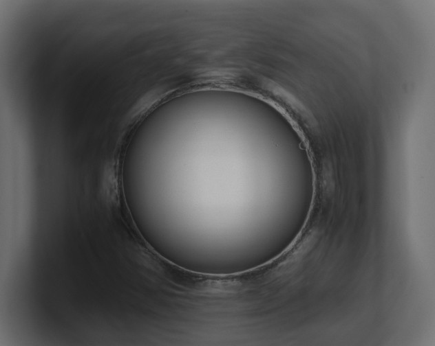 X0000100931354200806241356