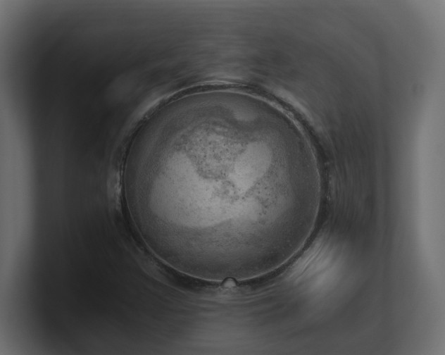 X0000100931355200806241356