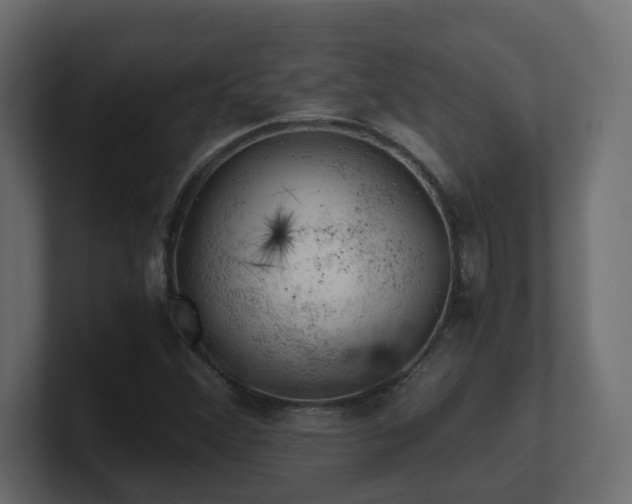 X0000100931356200806241356