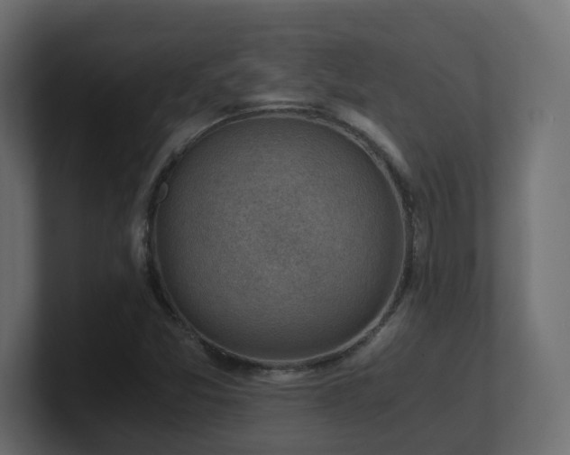 X0000100931357200806241356