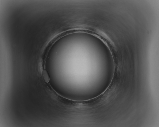 X0000100931360200806241356