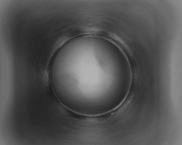 X0000100931362200806241356