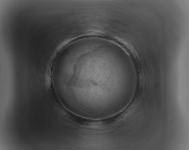 X0000100931363200806241356