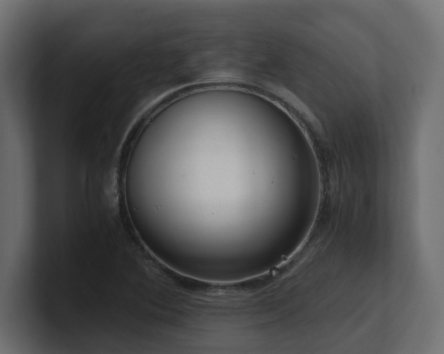 X0000100931364200806241356