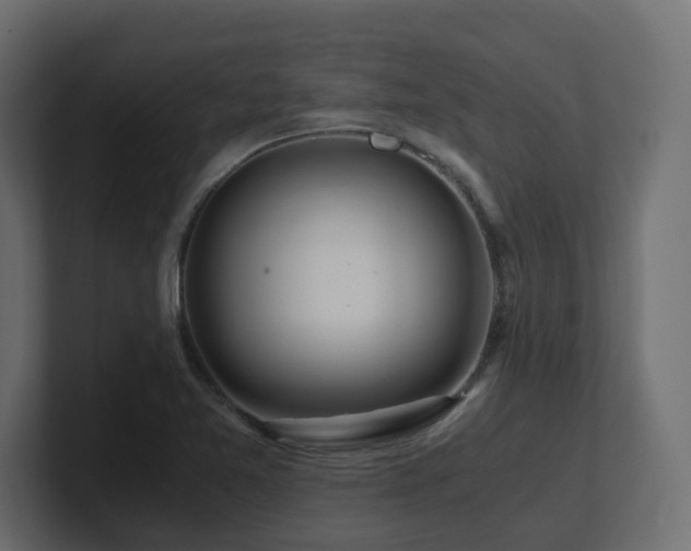 X0000100931365200806241356