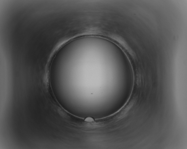 X0000100931366200806241356