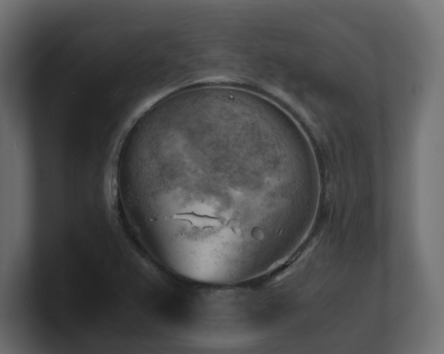 X0000100931367200806241356