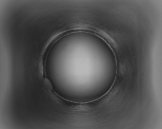 X0000100931368200806241356