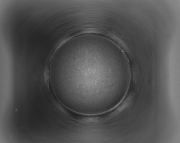 X0000100931369200806241356