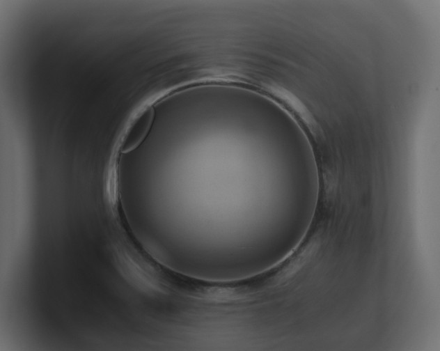 X0000100931371200806241356