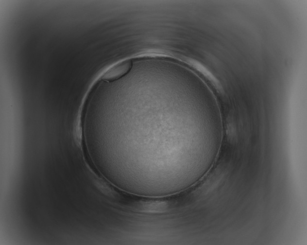 X0000100931372200806241356