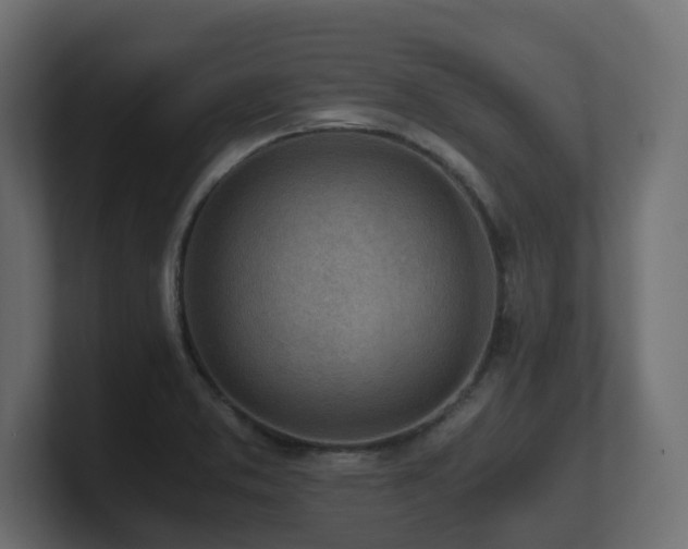 X0000100931373200806241356