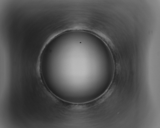 X0000100931374200806241356