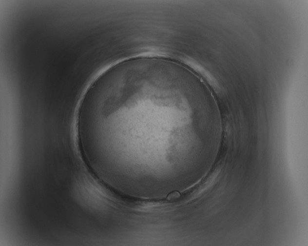 X0000100931375200806241356