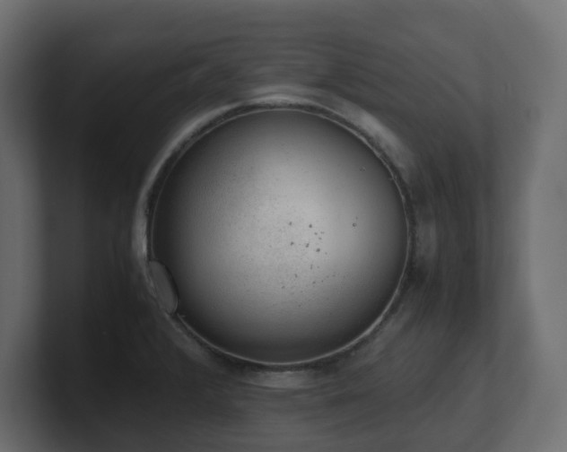 X0000100931376200806241356