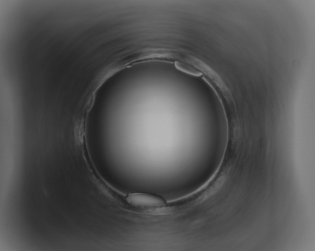 X0000100931377200806241356