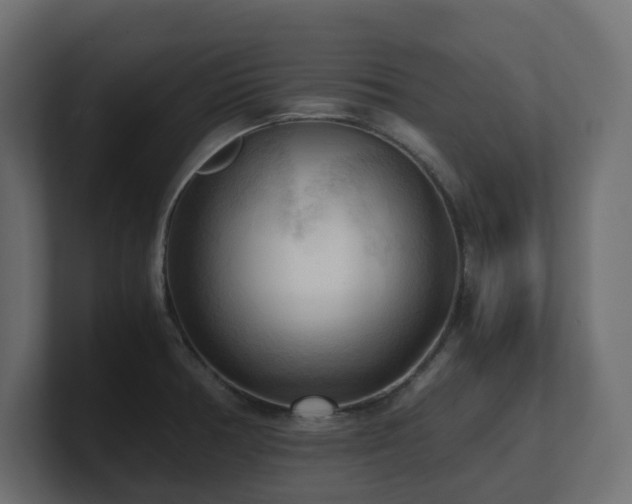 X0000100931378200806241356