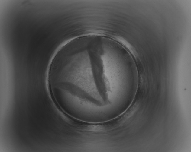 X0000100931379200806241356