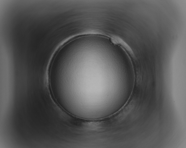 X0000100931380200806241356