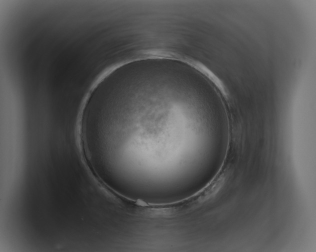 X0000100931381200806241356