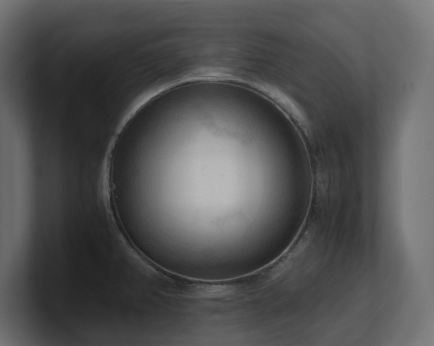 X0000100931382200806241356