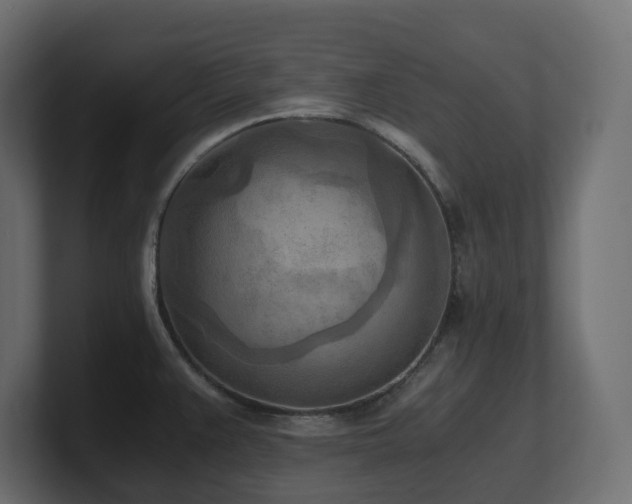 X0000100931383200806241356