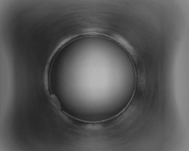 X0000100931384200806241356